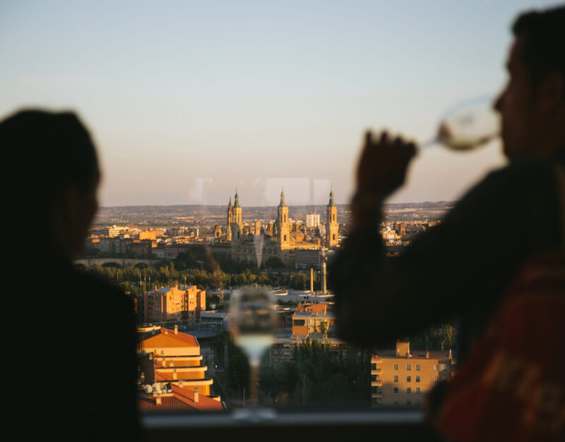 “VIÑEDO EXTREMO, VINOS DE ALTURA” DESDE EL WORLD TRADE CENTRE ZARAGOZA (WTCZ)