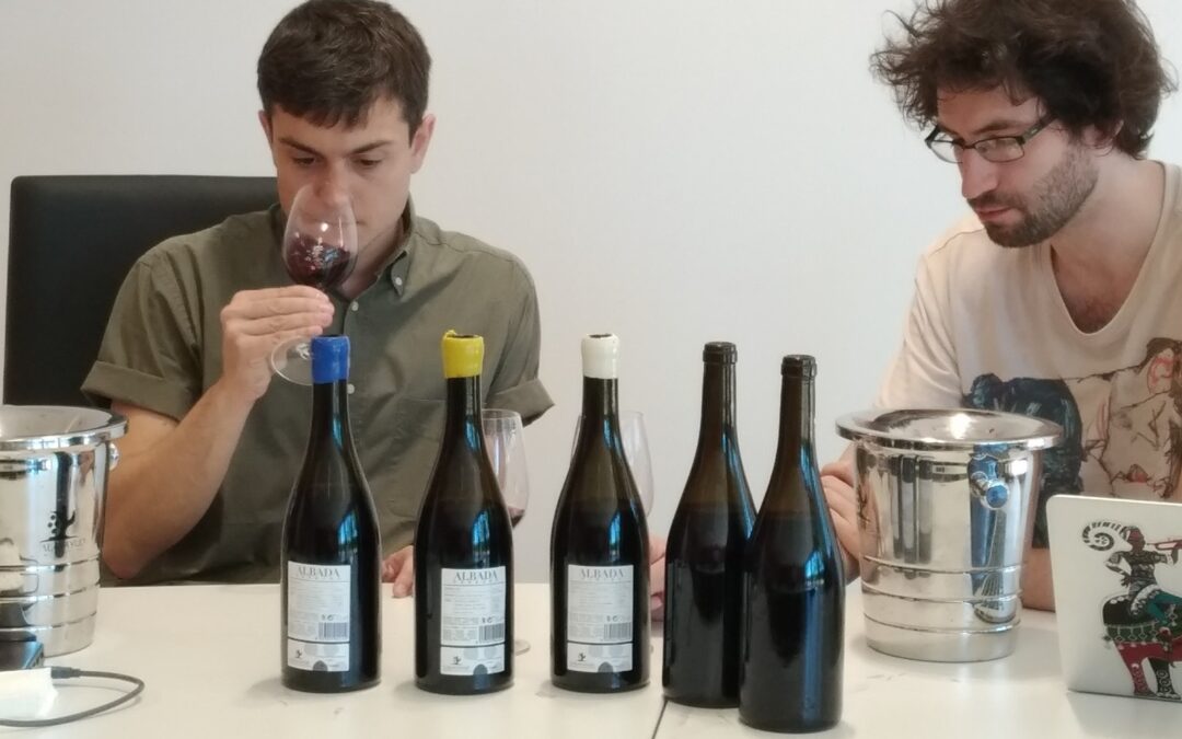 EL PANEL DE CATA DE GUIA PEÑIN DESTACA LA IDENTIDAD PROPIA DE LA GARNACHA DE CALATAYUDvinos de garnacha de la DO Calatayud