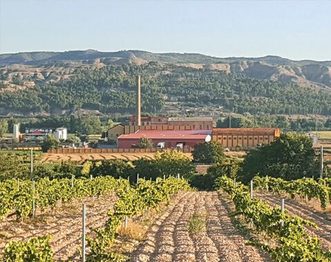 Bodegas A. Luis Pablo Uriol