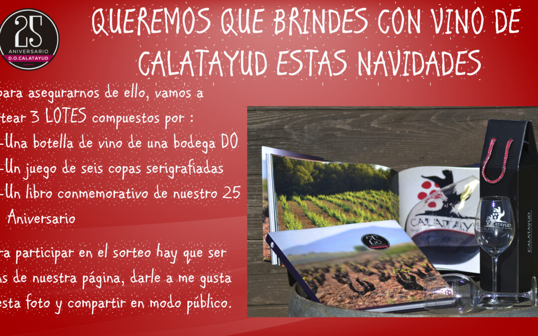 Bases Sorteo: «Queremos que brindes con vino de Calatayud estas Navidades»