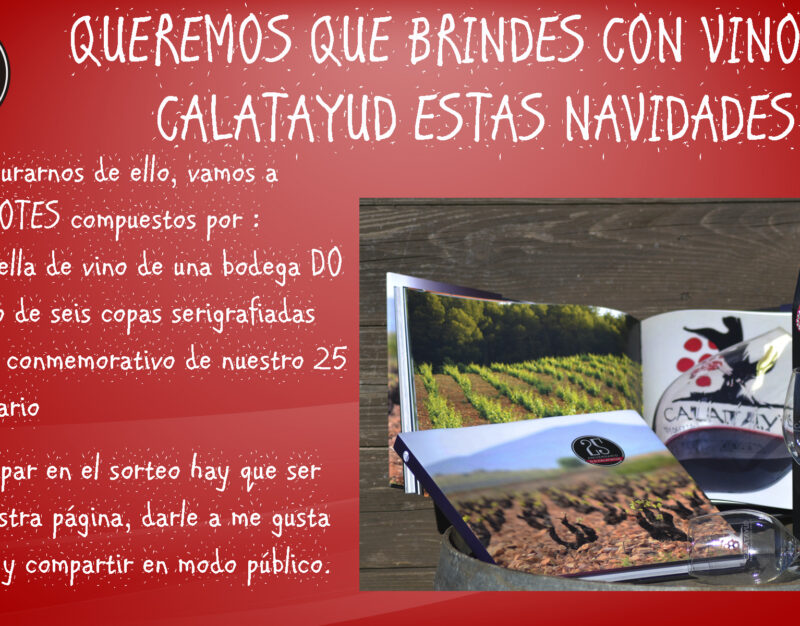 Bases Sorteo: «Queremos que brindes con vino de Calatayud estas Navidades»