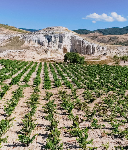 DO-Calatayud-wine-bodegas-Augusta_Bilbilis-gallery-01