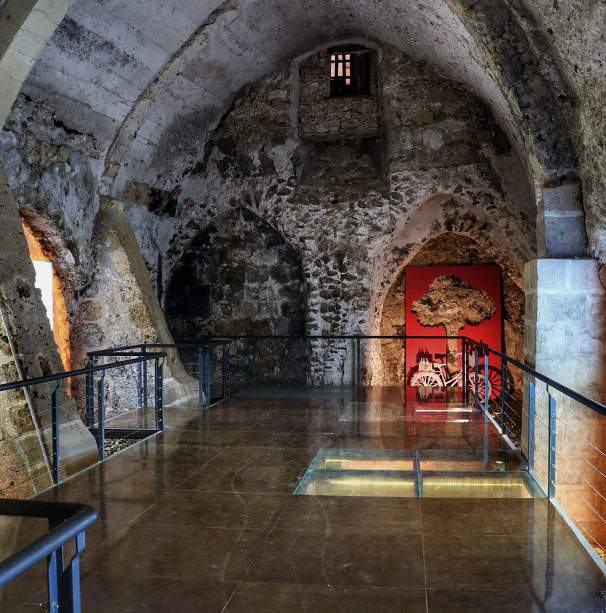 museo-del-vino-sala-dop-calatayud-wine-02