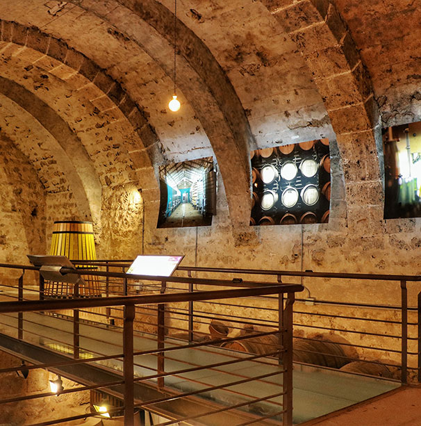 museo-del-vino-expositor-dop-calatayud-wine-05