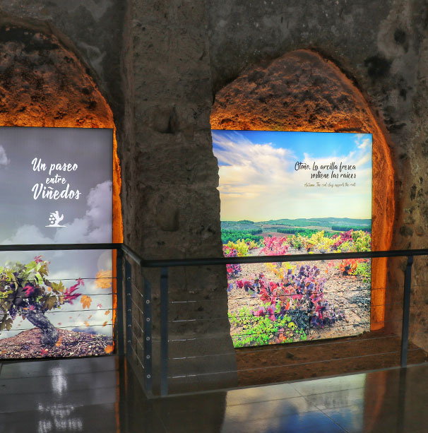 museo-del-vino-expositor-dop-calatayud-wine-06
