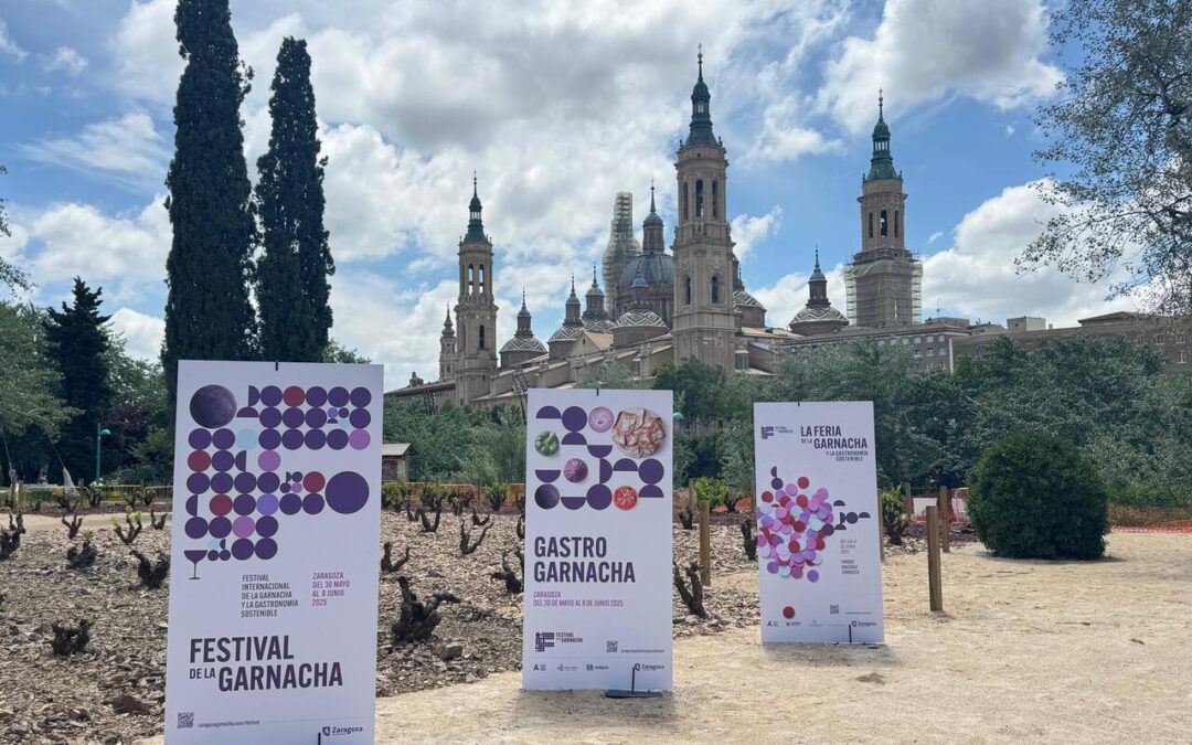El Festival Internacional de la Garnacha reunirá a 21 bodegas en Zaragoza en junio: descubre la programación