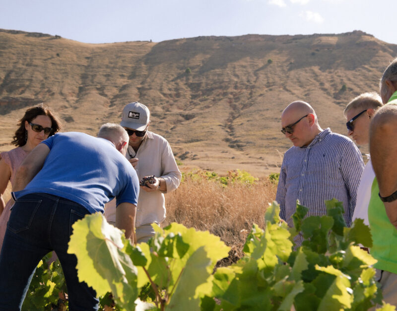 La D.O.P. Calatayud refuerza su proyección exterior con su participación en ‘Planeta Rioja’ y una misión inversa de Polonia